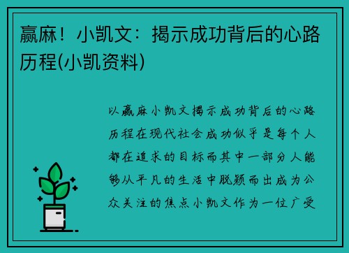 赢麻！小凯文：揭示成功背后的心路历程(小凯资料)