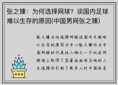 张之臻：为何选择网球？谈国内足球难以生存的原因(中国男网张之臻)