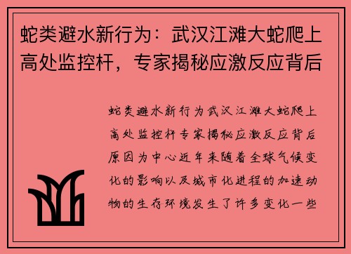 蛇类避水新行为：武汉江滩大蛇爬上高处监控杆，专家揭秘应激反应背后原因