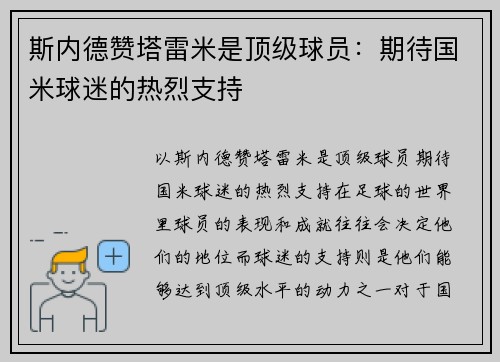 斯内德赞塔雷米是顶级球员：期待国米球迷的热烈支持
